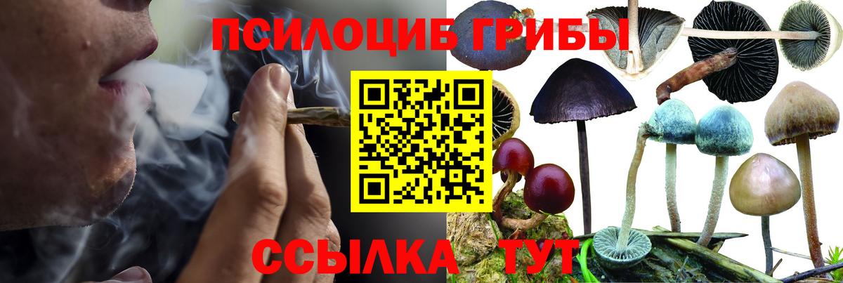 Псилоцибиновые грибы Cubensis  Вход с VPN  где найти наркотики  Галлюциногенные грибы мухоморы  Соль-Илецк 