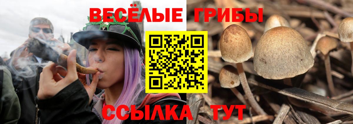 Галлюциногенные грибы мухоморы Соль-Илецк